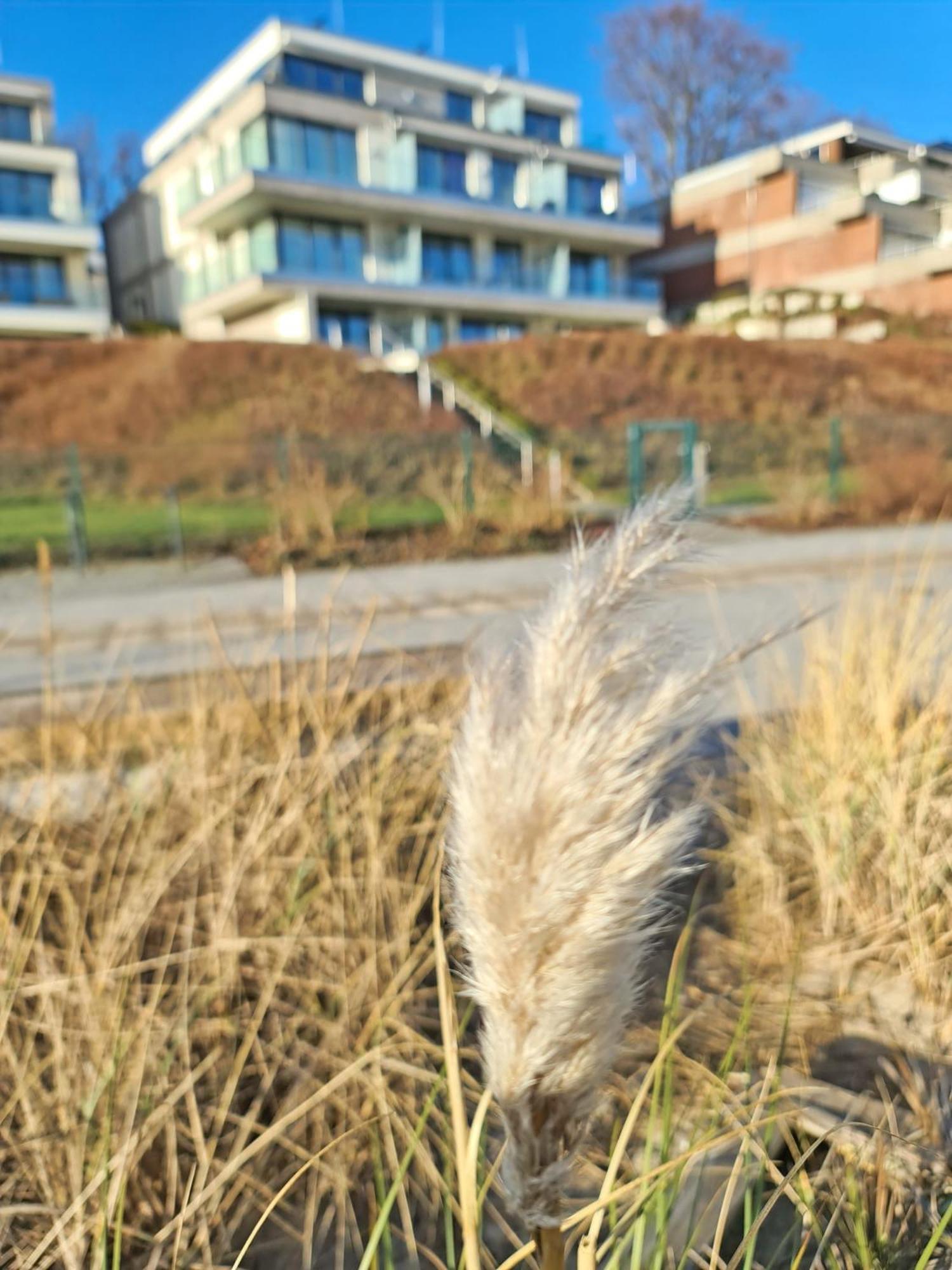 Am Hohen Ufer Whg 5 Grömitz Exterior foto
